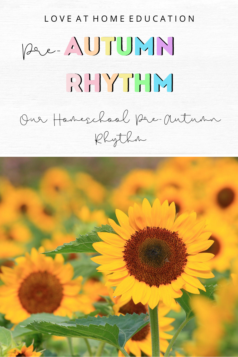 Our Homeschool Autumn Rhythm