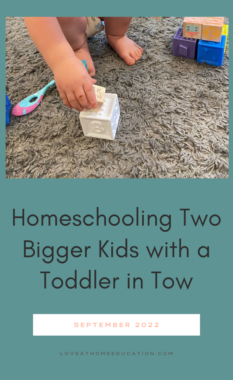 How to Homeschool with a Toddler in tow