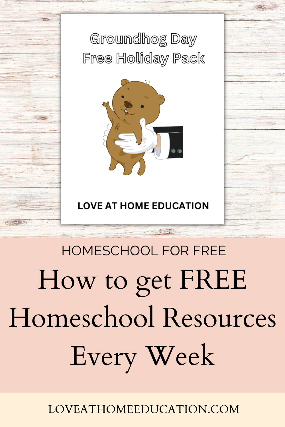 How to Supplement your Homeschool with FREE Resources!!! | Love at Home Education